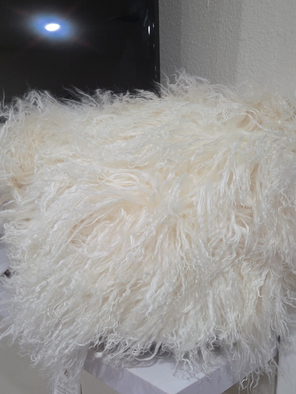 Plush Cream Fur Decorative Pillow Cover - Pottery Barn